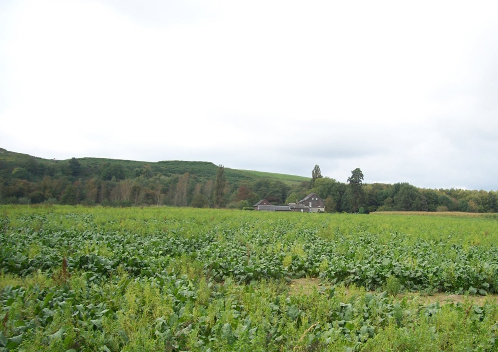 Renaturierung, NRW (2010) V1