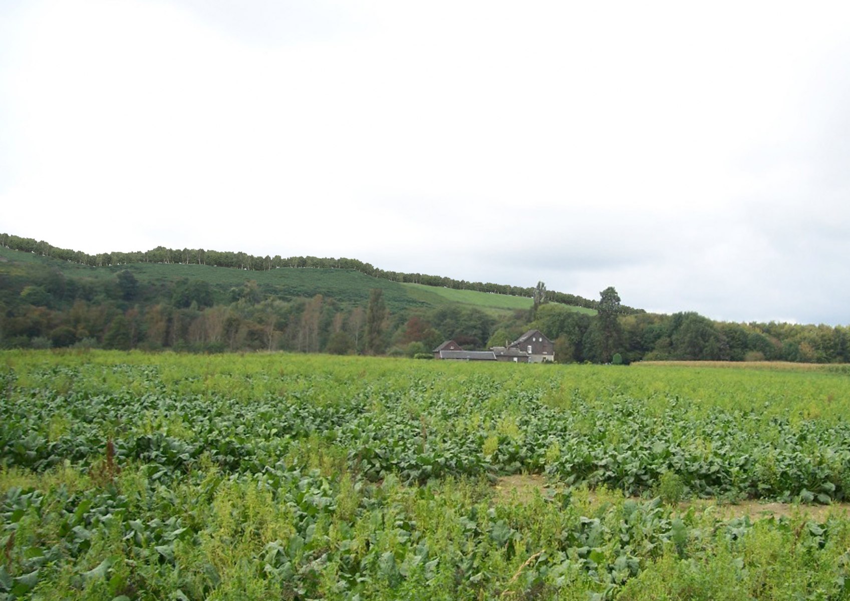 Renaturierung, NRW (2010) V2