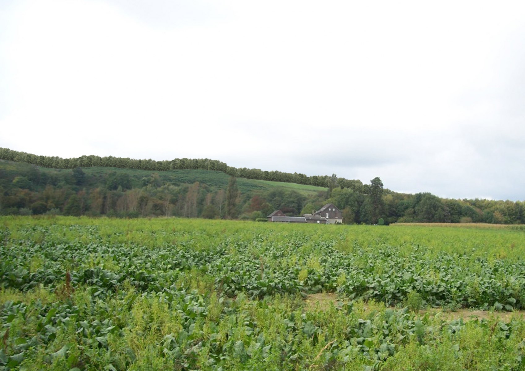 Renaturierung, NRW (2010) V3