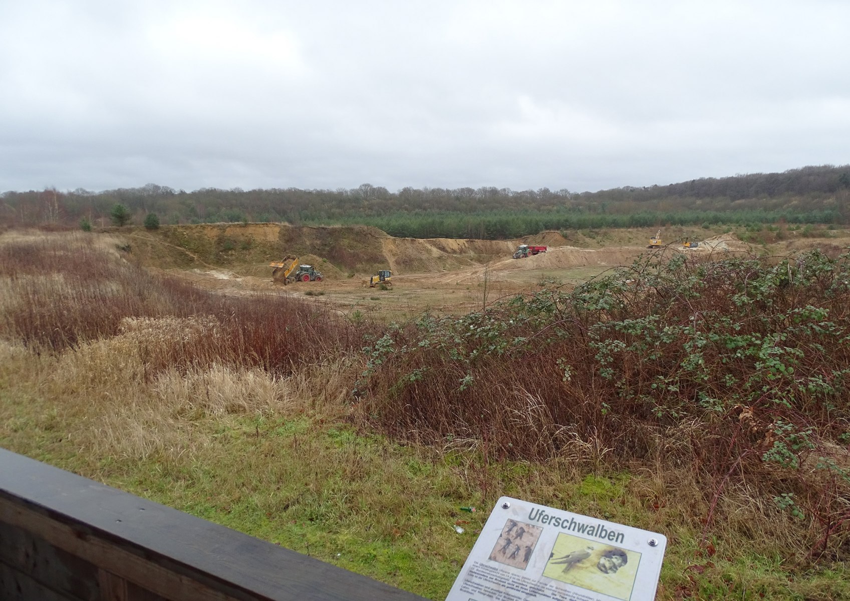 Neuanlage, Niedersachsen 2023 (Foto)